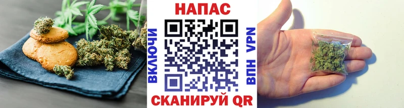 Купить где  Барабинск  Canna-Cookies конопля 
