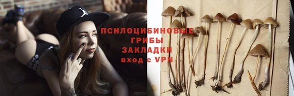 мяу мяу мука Волоколамск