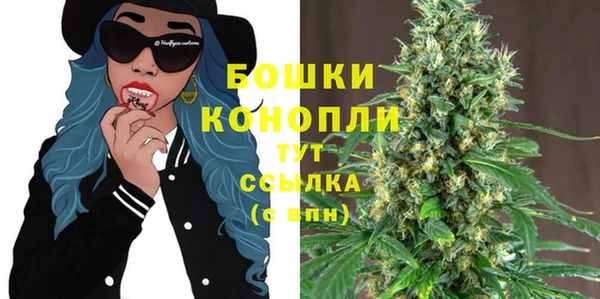 молекула духа Волосово