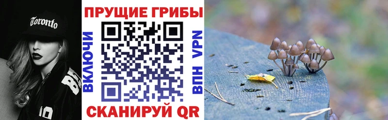 Купить закладки  Барабинск  Псилоцибиновые грибы прущие грибы 